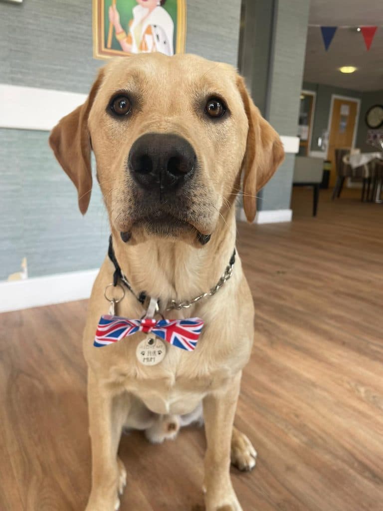 Brodie at our Platinum Jubilee Celebration Party  at Rubislaw Care Home Aberdeen