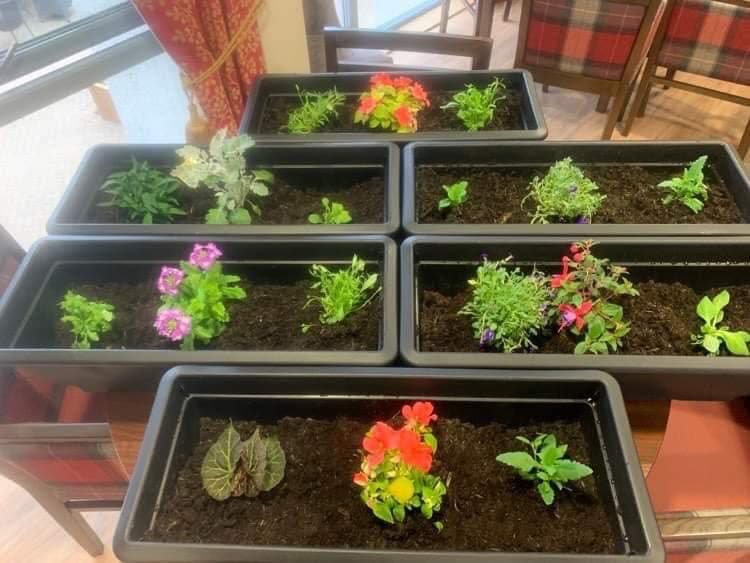 Gardening at Rubislaw Care Home Aberdeen