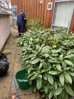 garden prep