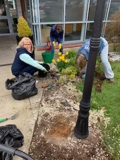 garden preparation