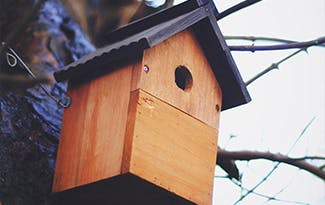 Birdhouse Built