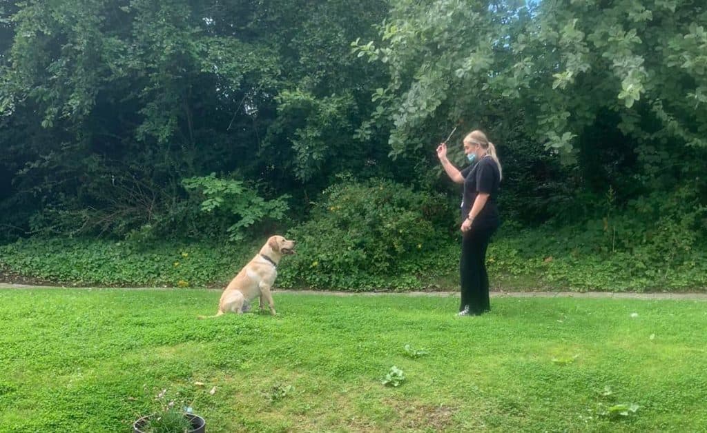 Animal visitor at Rubislaw Care Home Aberdeen