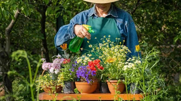 gardening
